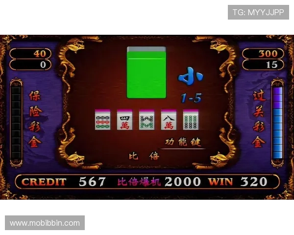 新手必看龙虎打法技巧全面提升你的游戏操作水平