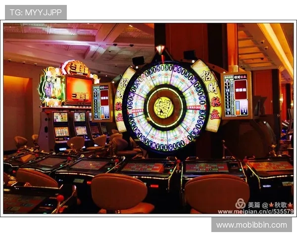 澳门PA真人娱乐用户评价，真实玩家的体验分享与推荐